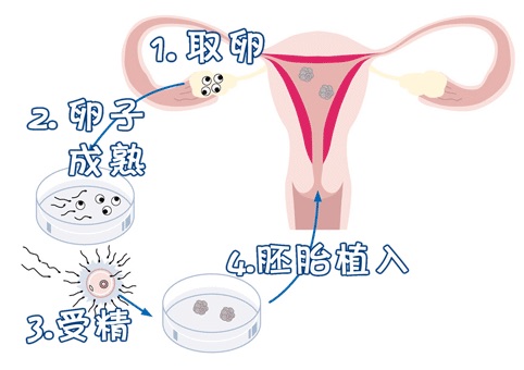 实验室 Fig.03